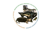 Texas Natural History Collections