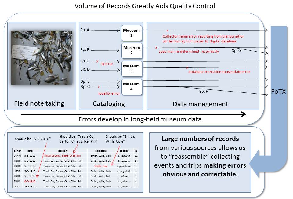 Specimen identification verification