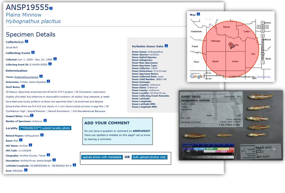 Specimen page showing FoTX edits and verbatim data