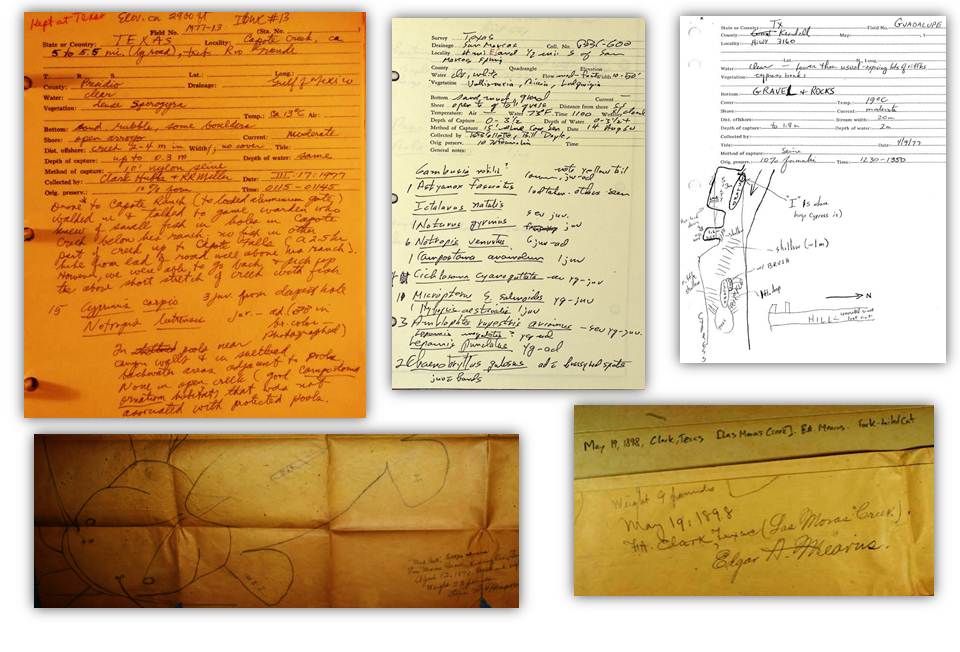 Digitized collectors' field notes