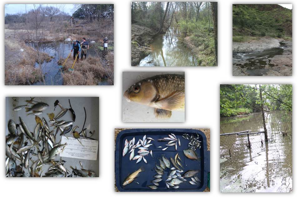 Collectors' field photographs of habitat