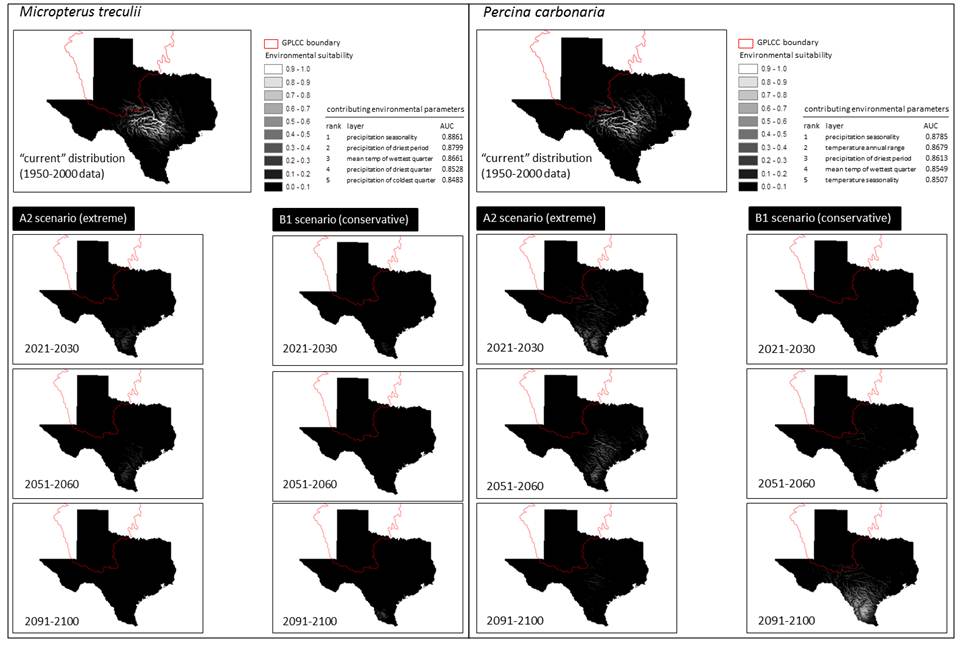 Climate change effects on species distributions